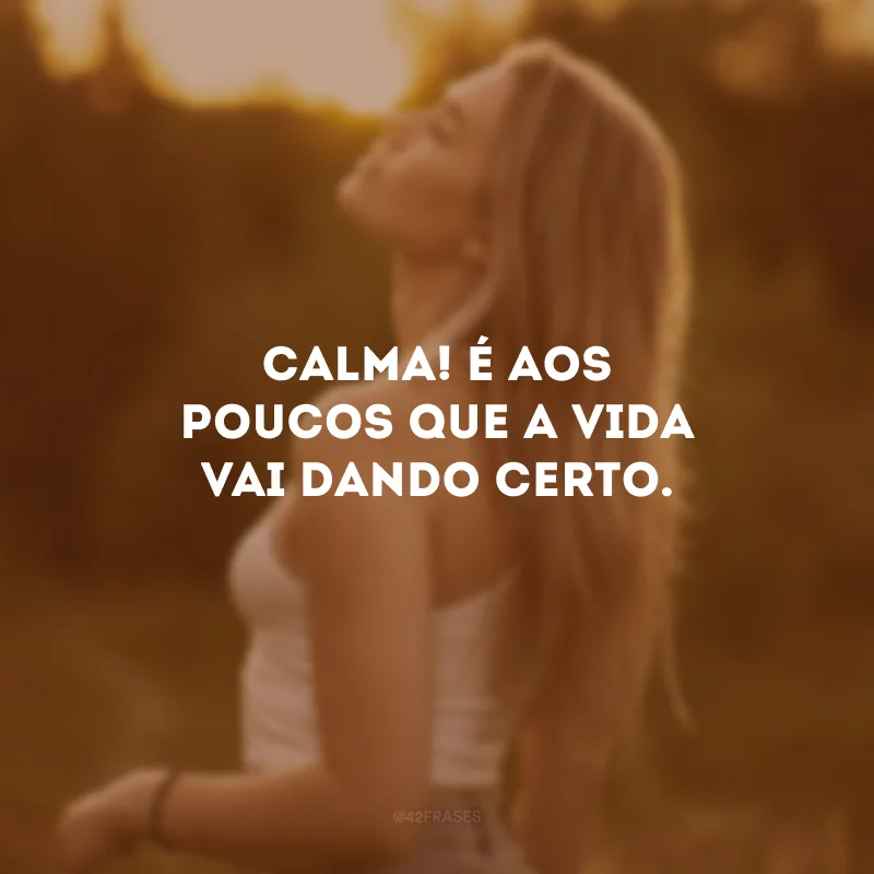 Calma! É aos poucos que a vida vai dando certo.
