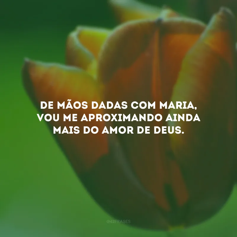 De mãos dadas com Maria, vou me aproximando ainda mais do amor de Deus.