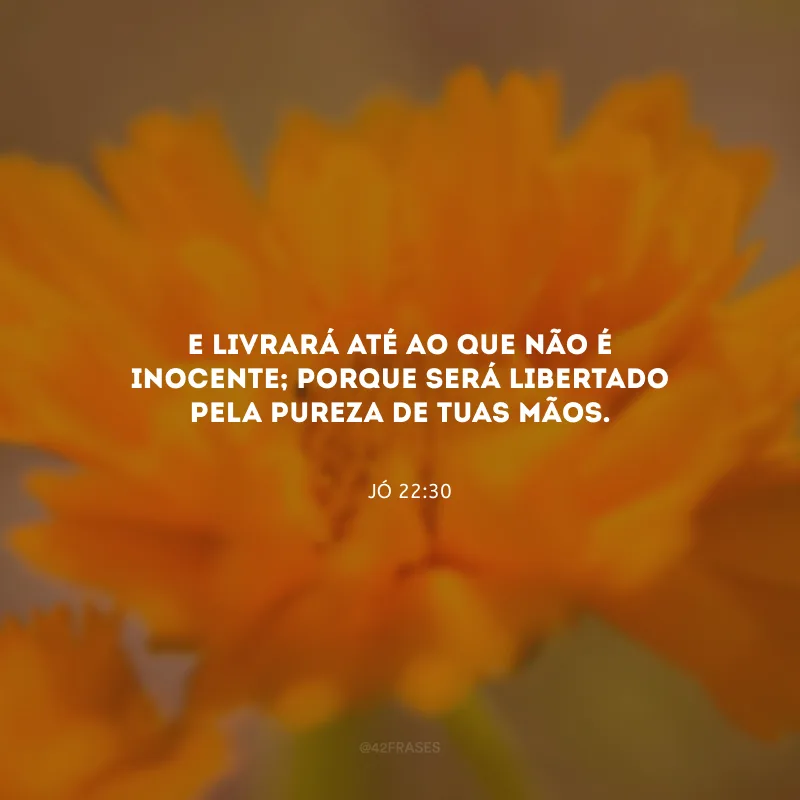 E livrará até ao que não é inocente; porque será libertado pela pureza de Tuas mãos.

