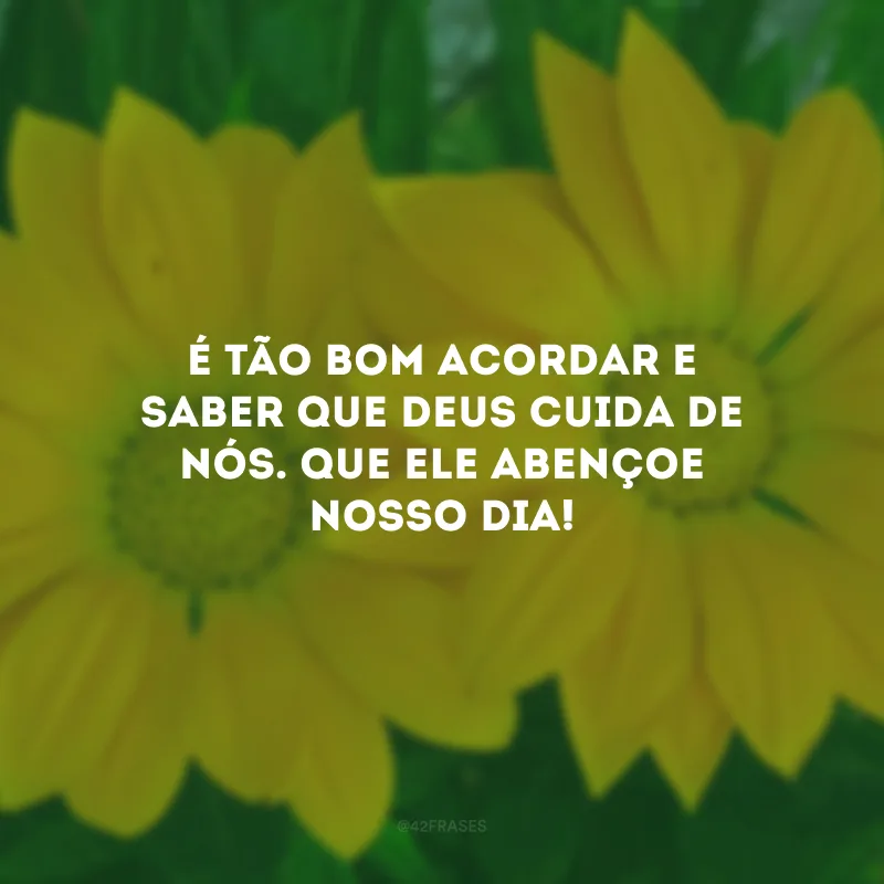 É tão bom acordar e saber que Deus cuida de nós. Que Ele abençoe nosso dia!