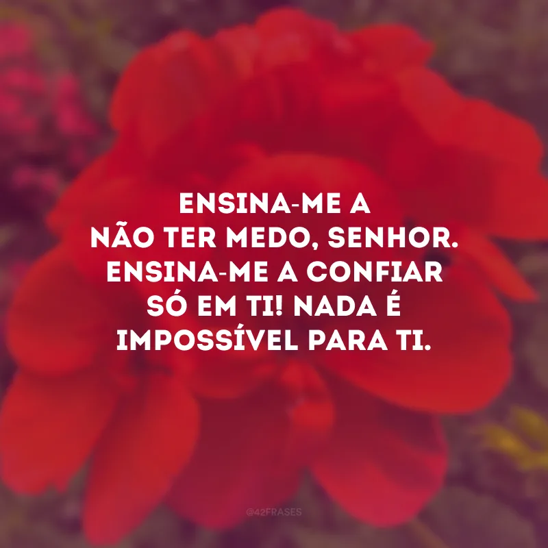 Ensina-me a não ter medo, Senhor. Ensina-me a confiar só em Ti! Nada é impossível para Ti.