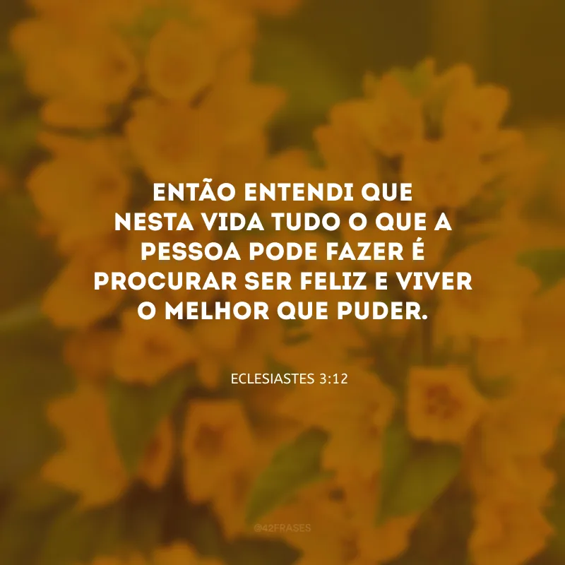 Então entendi que nesta vida tudo o que a pessoa pode fazer é procurar ser feliz e viver o melhor que puder. 