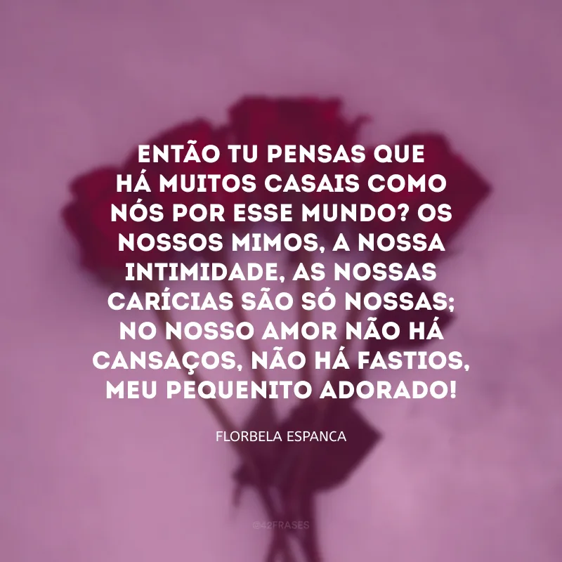 Então tu pensas que há muitos casais como nós por esse mundo? Os nossos mimos, a nossa intimidade, as nossas carícias são só nossas; no nosso amor não há cansaços, não há fastios, meu pequenito adorado! 