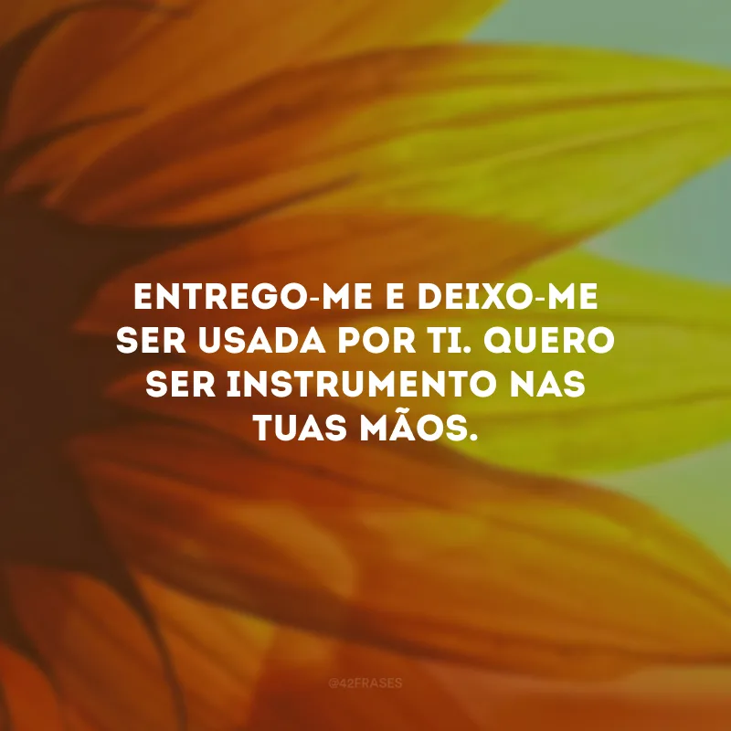 Entrego-me e deixo-me ser usada por Ti. Quero ser instrumento nas Tuas mãos.