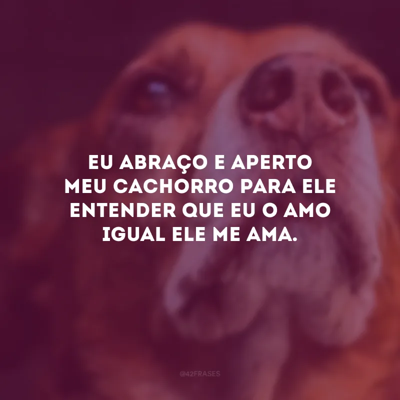 Eu abraço e aperto meu cachorro para ele entender que eu o amo igual ele me ama.