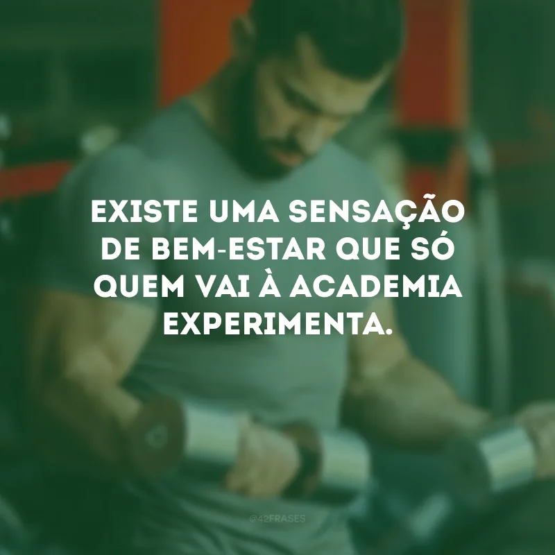 Existe uma sensação de bem-estar que só quem vai à academia experimenta.