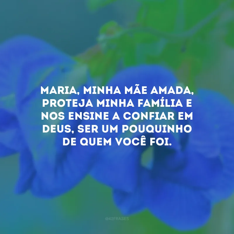 Maria, minha mãe amada, proteja minha família e nos ensine a confiar em Deus, ser um pouquinho de quem você foi.