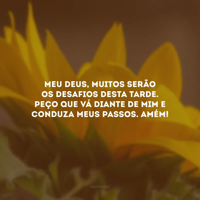 Meu Deus, muitos serão os desafios desta tarde. Peço que vá diante de mim e conduza meus passos. Amém!