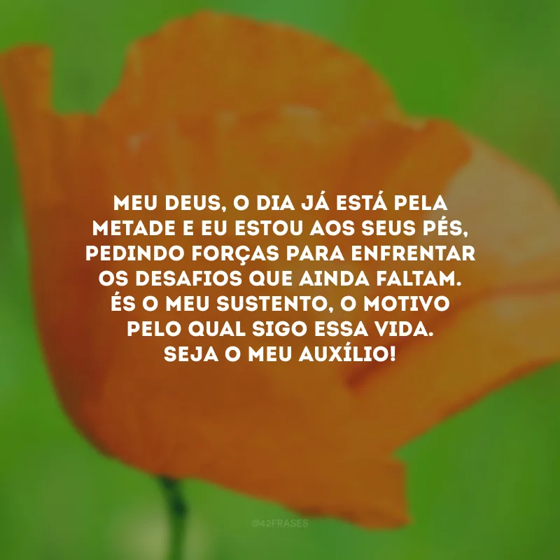 Meu Deus, o dia já está pela metade e eu estou aos seus pés, pedindo forças para enfrentar os desafios que ainda faltam. És o meu sustento, o motivo pelo qual sigo essa vida. Seja o meu auxílio!