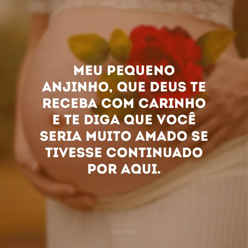 Meu pequeno anjinho, que Deus te receba com carinho e te diga que você seria muito amado se tivesse continuado por aqui.