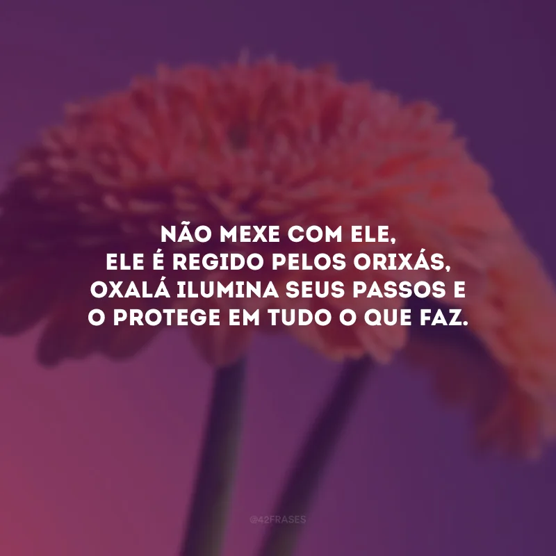 Não mexe com ele, ele é regido pelos orixás, Oxalá ilumina seus passos e o protege em tudo o que faz.