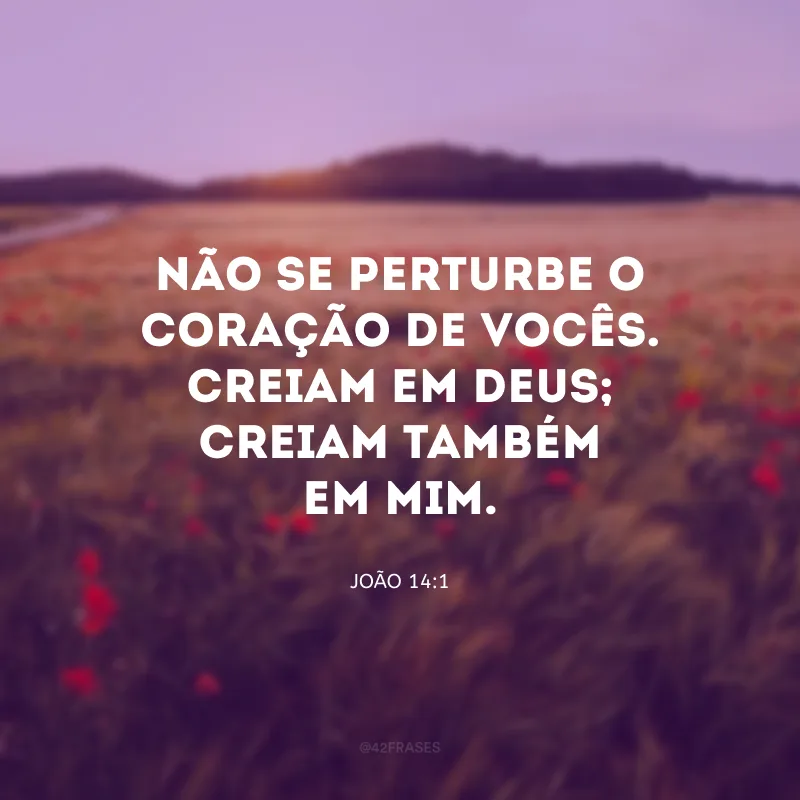 Não se perturbe o coração de vocês. Creiam em Deus; creiam também em mim.