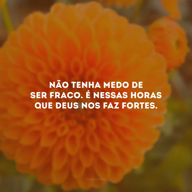 Não tenha medo de ser fraco. É nessas horas que Deus nos faz fortes.