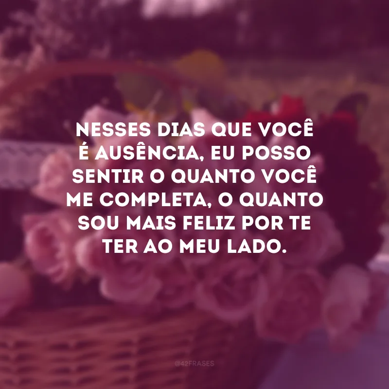Nesses dias que você é ausência, eu posso sentir o quanto você me completa, o quanto sou mais feliz por te ter ao meu lado. 