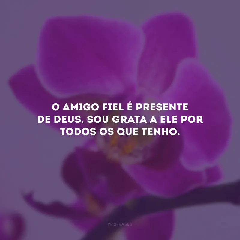 O amigo fiel é presente de Deus. Sou grata a Ele por todos os que tenho.