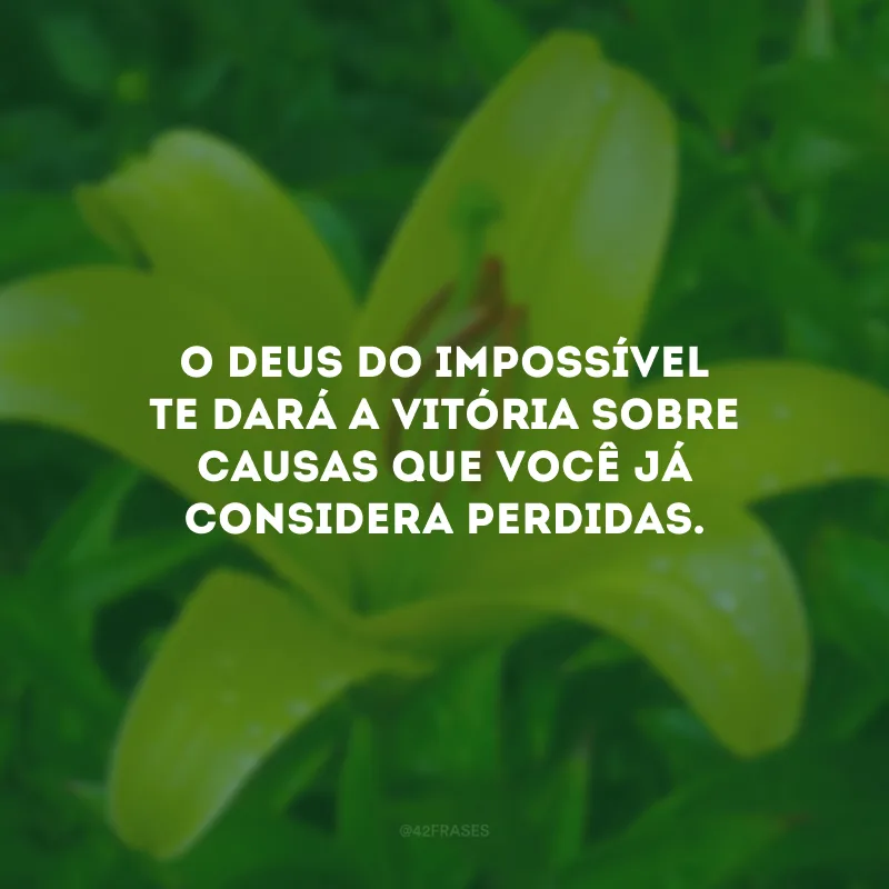 O Deus do impossível te dará a vitória sobre causas que você já considera perdidas.