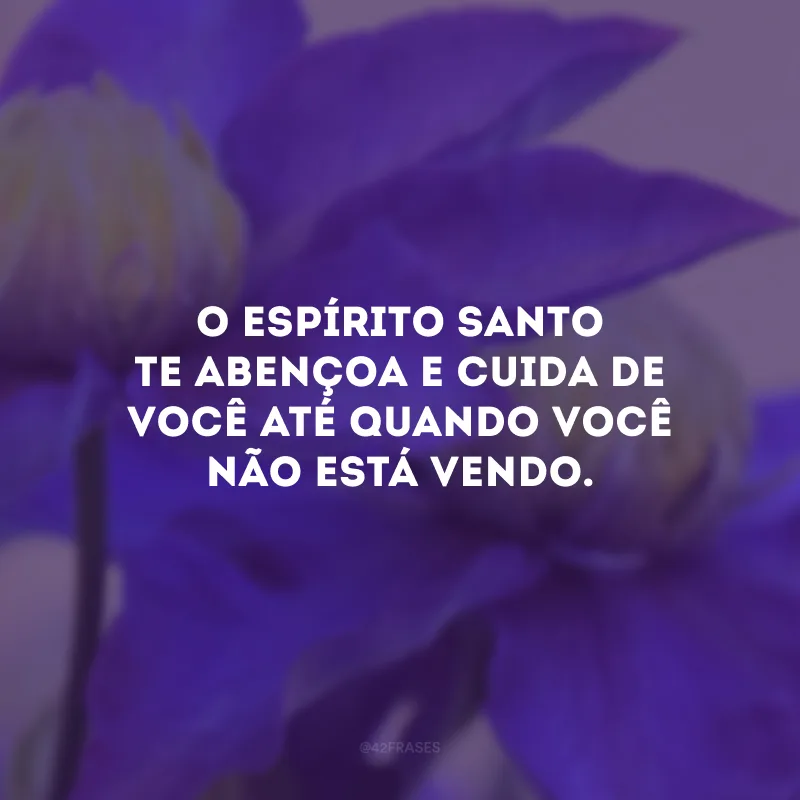O Espírito Santo te abençoa e cuida de você até quando você não está vendo.