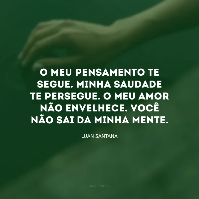 O meu pensamento te segue. Minha saudade te persegue. O meu amor não envelhece. Você não sai da minha mente.