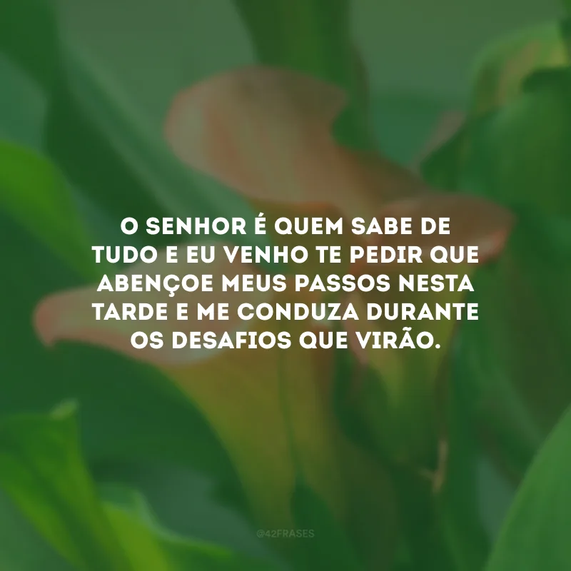 O Senhor é quem sabe de tudo e eu venho Te pedir que abençoe meus passos nesta tarde e me conduza durante os desafios que virão.