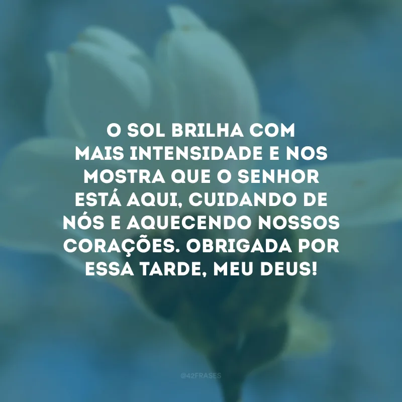 O sol brilha com mais intensidade e nos mostra que o Senhor está aqui, cuidando de nós e aquecendo nossos corações. Obrigada por essa tarde, meu Deus!