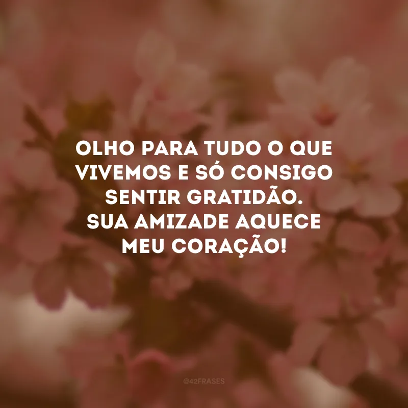 Olho para tudo o que vivemos e só consigo sentir gratidão. Sua amizade aquece meu coração!