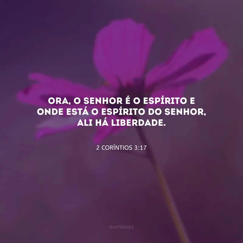 Ora, o Senhor é o Espírito e onde está o Espírito do Senhor, ali há liberdade.