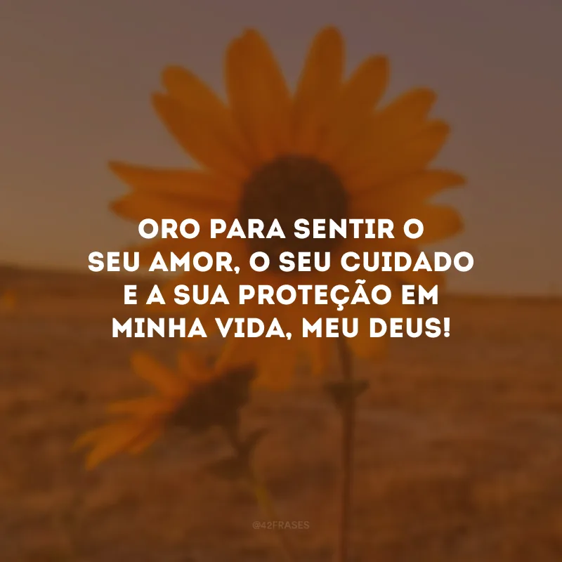 Oro para sentir o Seu amor, o Seu cuidado e a Sua proteção em minha vida, meu Deus!