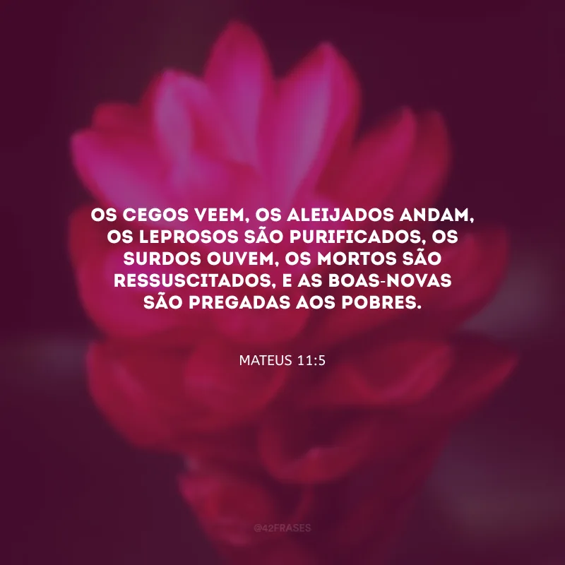 Os cegos veem, os aleijados andam, os leprosos são purificados, os surdos ouvem, os mortos são ressuscitados, e as boas-novas são pregadas aos pobres. 