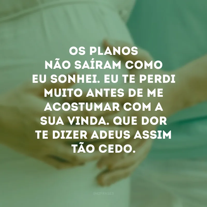Os planos não saíram como eu sonhei. Eu te perdi muito antes de me acostumar com a sua vinda. Que dor te dizer adeus assim tão cedo.