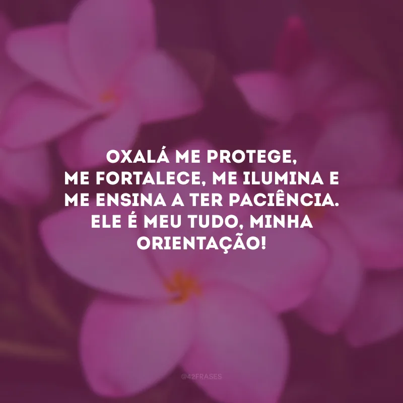 Oxalá me protege, me fortalece, me ilumina e me ensina a ter paciência. Ele é meu tudo, minha orientação!
