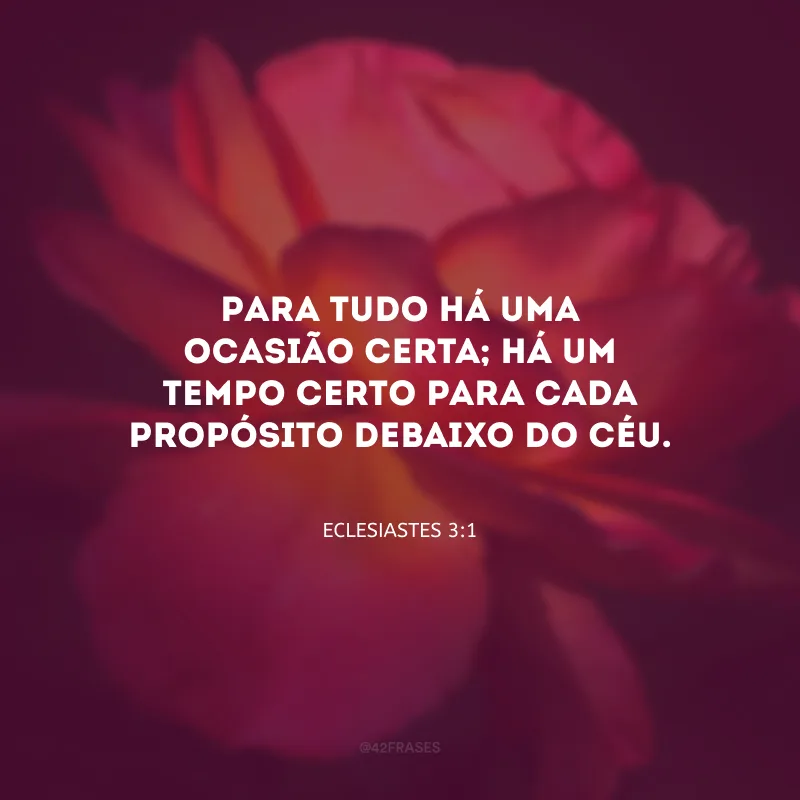 Para tudo há uma ocasião certa; há um tempo certo para cada propósito debaixo do céu. 
