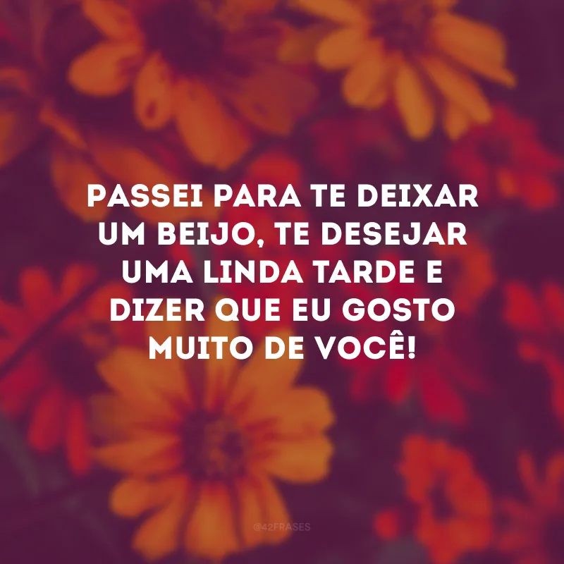 Passei para te deixar um beijo, te desejar uma linda tarde e dizer que eu gosto muito de você!