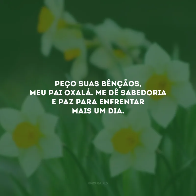 Peço suas bênçãos, meu Pai Oxalá. Me dê sabedoria e paz para enfrentar mais um dia.