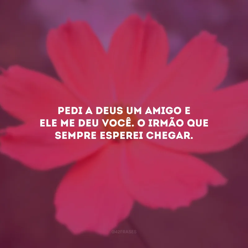 Pedi a Deus um amigo e Ele me deu você. O irmão que sempre esperei chegar.