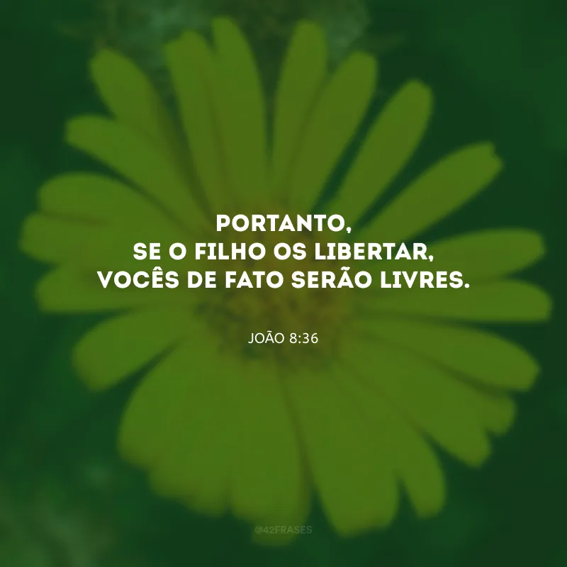 Portanto, se o Filho os libertar, vocês de fato serão livres.

