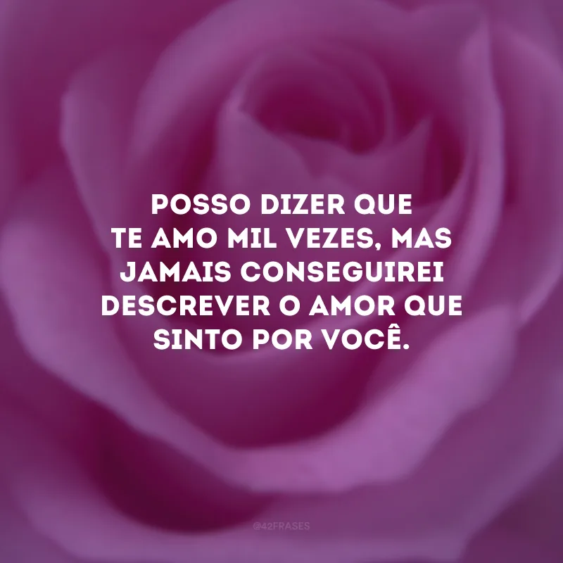Posso dizer que te amo mil vezes, mas jamais conseguirei descrever o amor que sinto por você. 