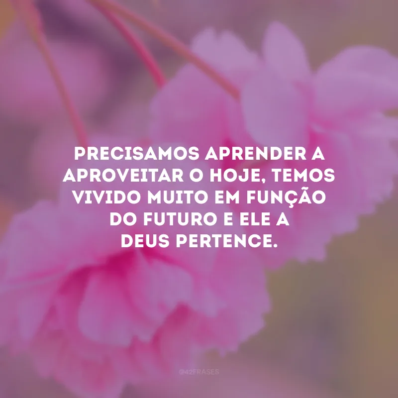 Precisamos aprender a aproveitar o hoje, temos vivido muito em função do futuro e ele a Deus pertence.