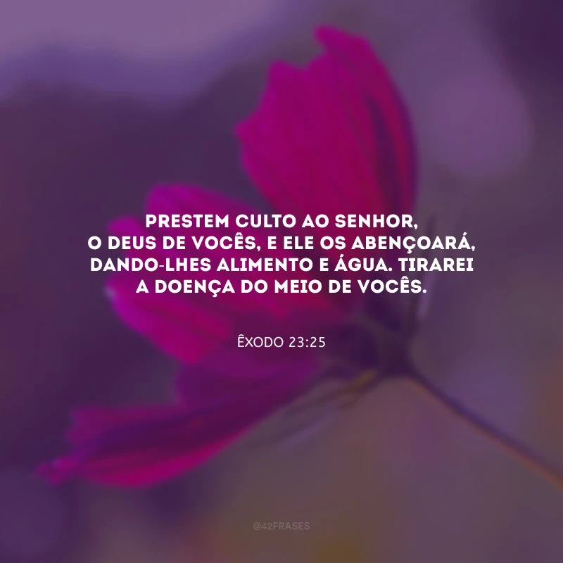 Prestem culto ao Senhor, o Deus de vocês, e Ele os abençoará, dando-lhes alimento e água. Tirarei a doença do meio de vocês.
