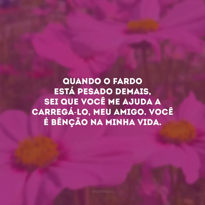 Quando o fardo está pesado demais, sei que você me ajuda a carregá-lo, meu amigo. Você é bênção na minha vida.