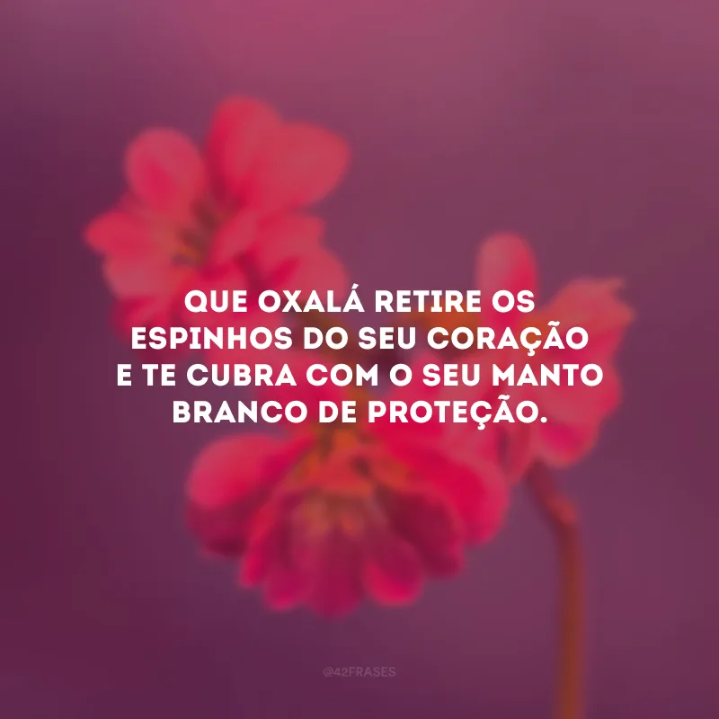 Que Oxalá retire os espinhos do seu coração e te cubra com o seu manto branco de proteção.