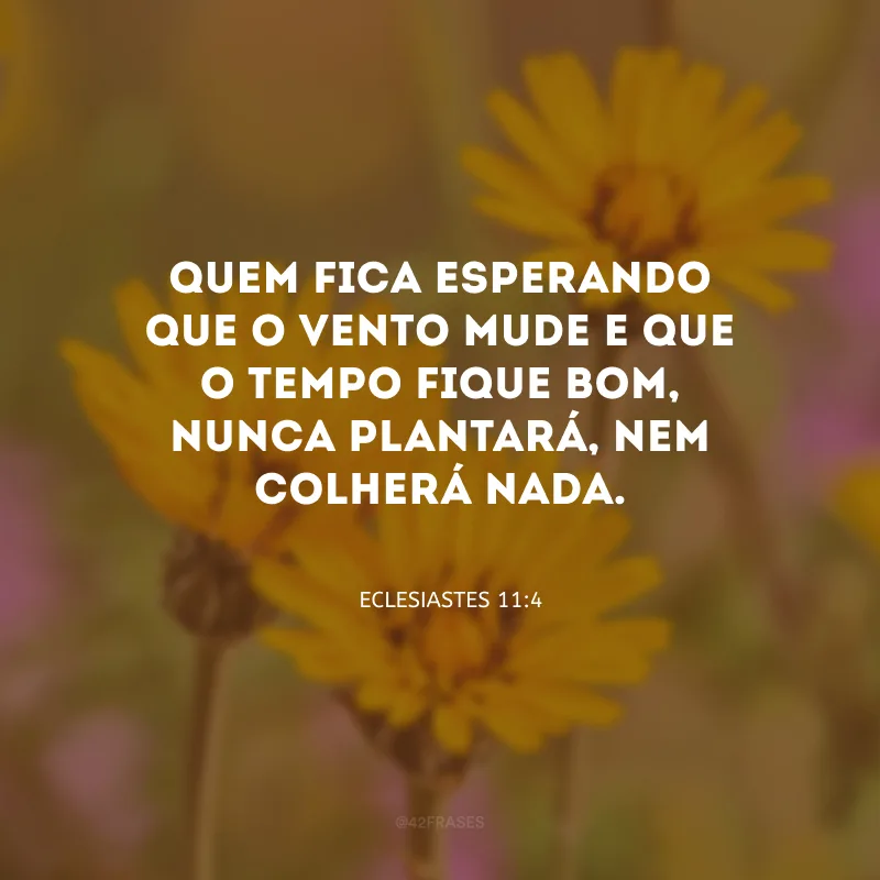 Quem fica esperando que o vento mude e que o tempo fique bom, nunca plantará, nem colherá nada. 