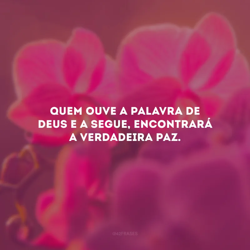 Quem ouve a palavra de Deus e a segue, encontrará a verdadeira paz.