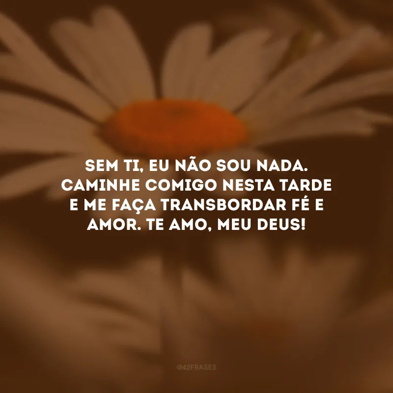 Sem Ti, eu não sou nada. Caminhe comigo nesta tarde e me faça transbordar fé e amor. Te amo, meu Deus!