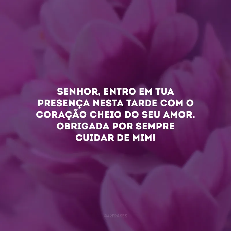 Senhor, entro em Tua presença nesta tarde com o coração cheio do seu amor. Obrigada por sempre cuidar de mim!