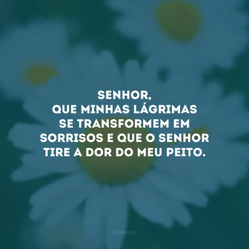 Senhor, que minhas lágrimas se transformem em sorrisos e que o Senhor tire a dor do meu peito.