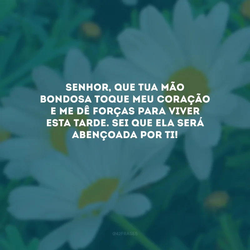 Senhor, que Tua mão bondosa toque meu coração e me dê forças para viver esta tarde. Sei que ela será abençoada por Ti!