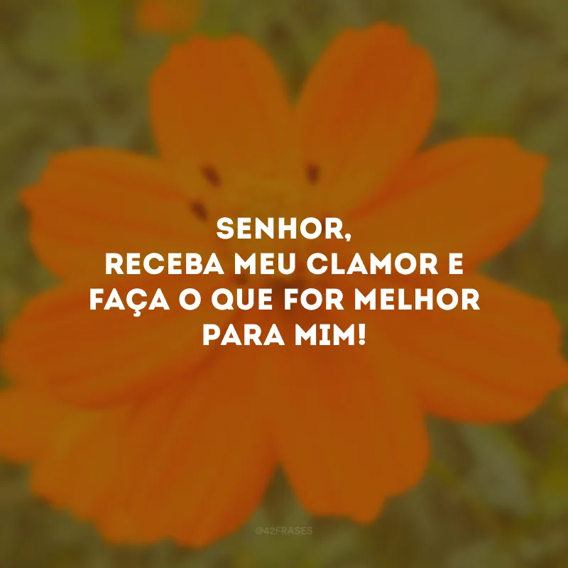 Senhor, receba meu clamor e faça o que for melhor para mim!