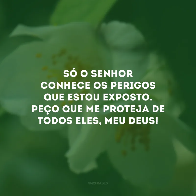Só o Senhor conhece os perigos que estou exposto. Peço que me proteja de todos eles, meu Deus!