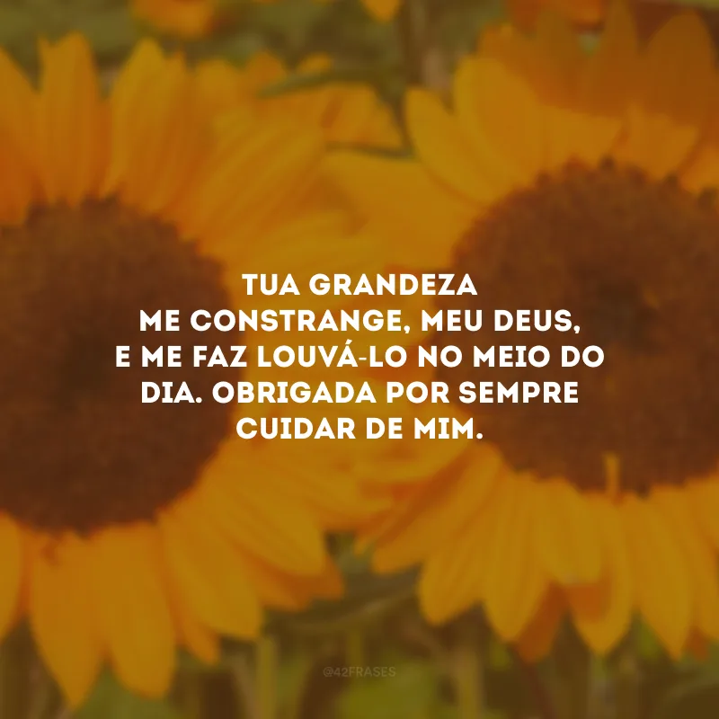Tua grandeza me constrange, meu Deus, e me faz louvá-Lo no meio do dia. Obrigada por sempre cuidar de mim.