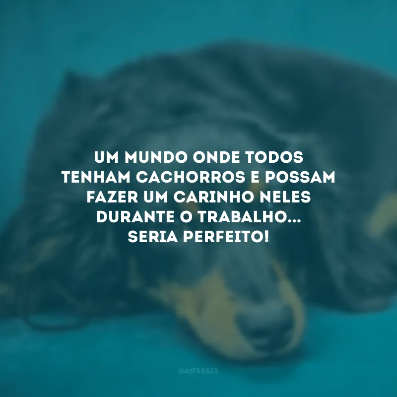 Um mundo onde todos tenham cachorros e possam fazer um carinho neles durante o trabalho... Seria perfeito!